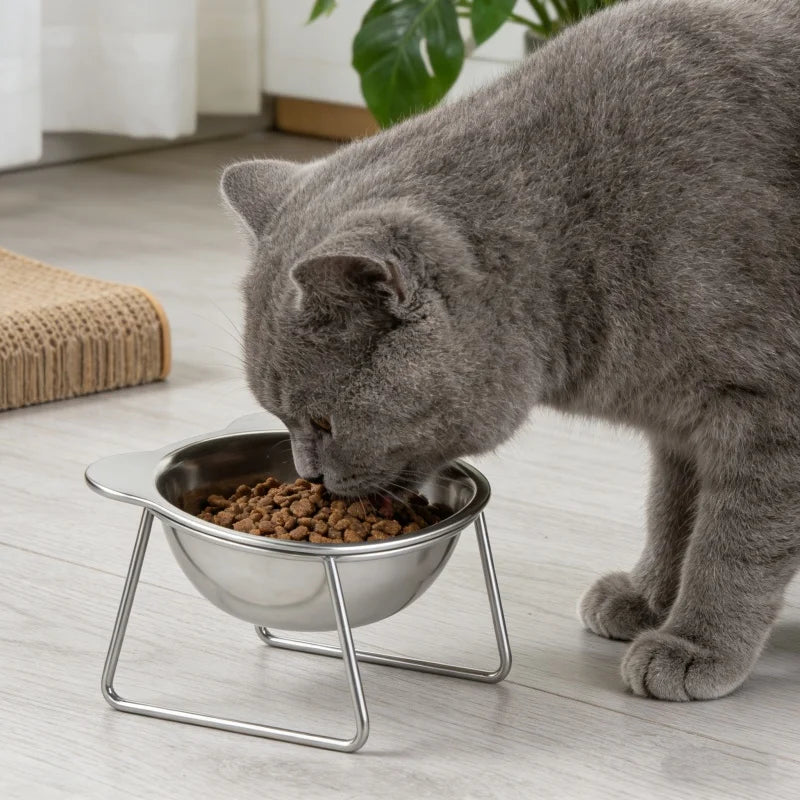Ivalory Tilted Cat Bowl – Stainless Steel with Stand