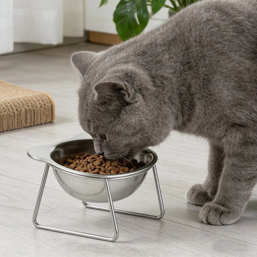 Ivalory Tilted Cat Bowl – Stainless Steel with Stand