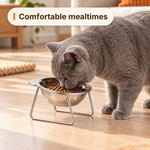 Gray cat eating comfortably from the tilted bowl
