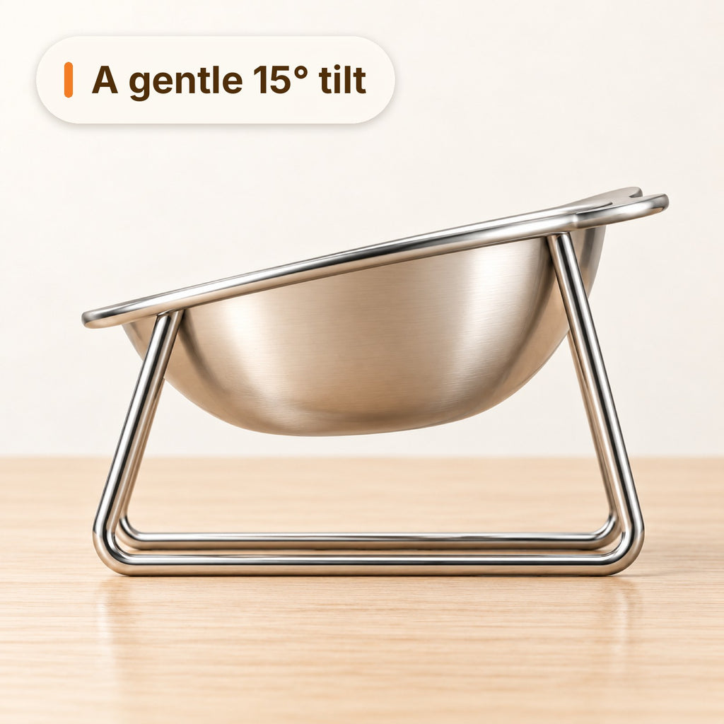 Side profile of the bowl showing the gentle 15 degree tilt