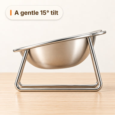Side profile of the bowl showing the gentle 15 degree tilt