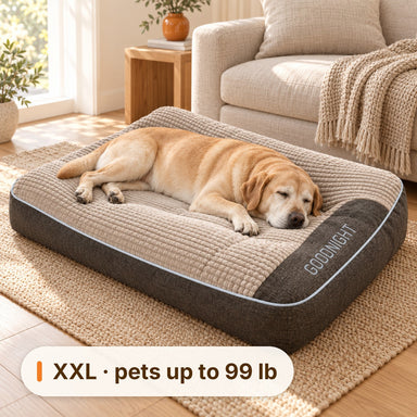 Senior Labrador asleep on the XXL Ivalory dog bed