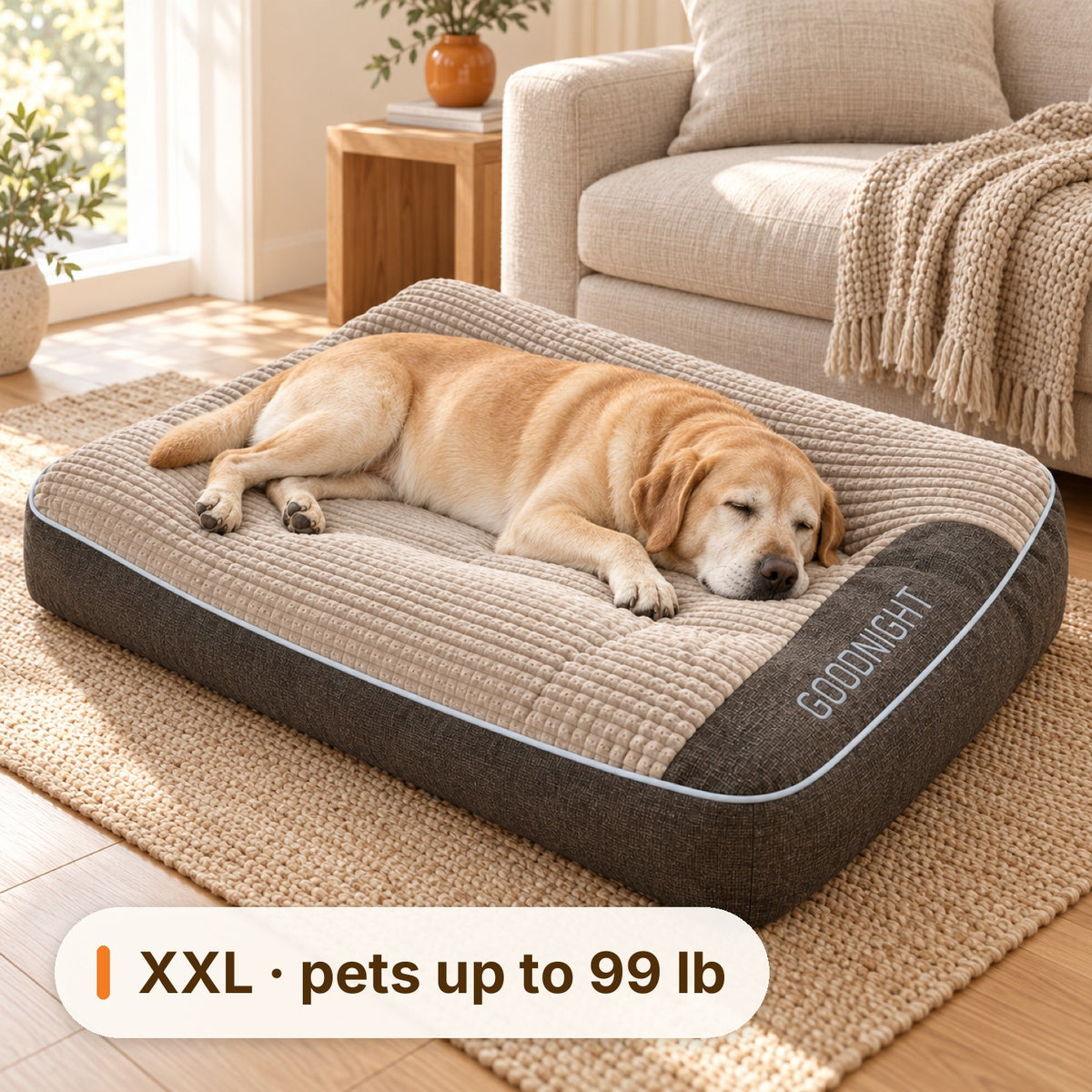 Senior Labrador asleep on the XXL Ivalory dog bed