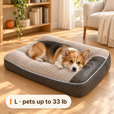 Corgi resting on the L Ivalory dog bed