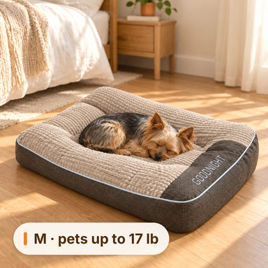 Small Yorkshire Terrier curled up on the M Ivalory dog bed