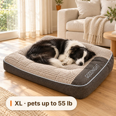 Border Collie asleep on the XL Ivalory dog bed