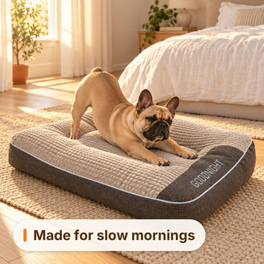 French Bulldog stretching on the Ivalory dog bed in the morning